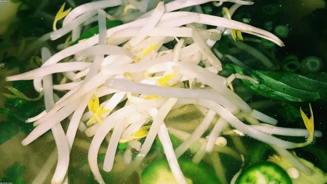 Little Saigon Restaurant Wichita Menu With Prices