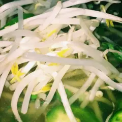 Little Saigon Restaurant Wichita Menu With Prices
