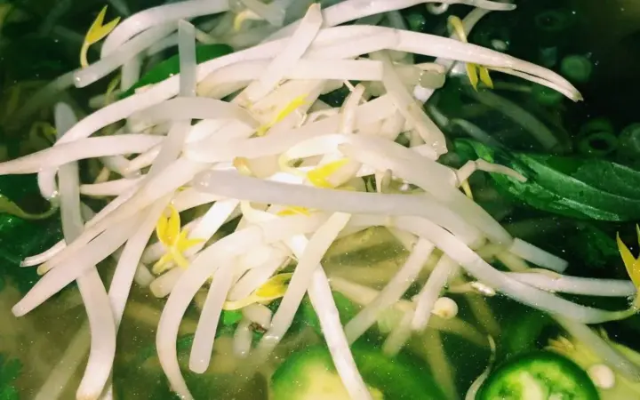 Little Saigon Restaurant Wichita Menu With Prices